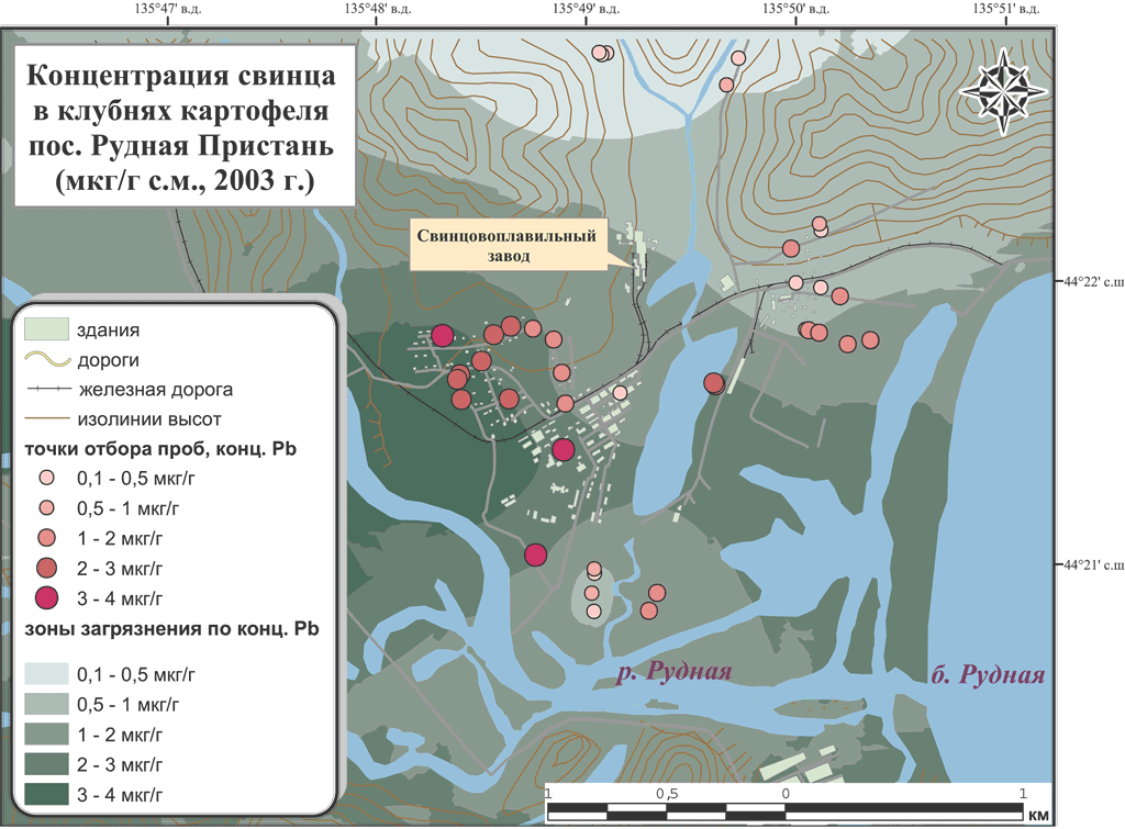 карта содержания свинца в картофеле в пос. Рудная Пристань, 2003 г., Петр Шаров 